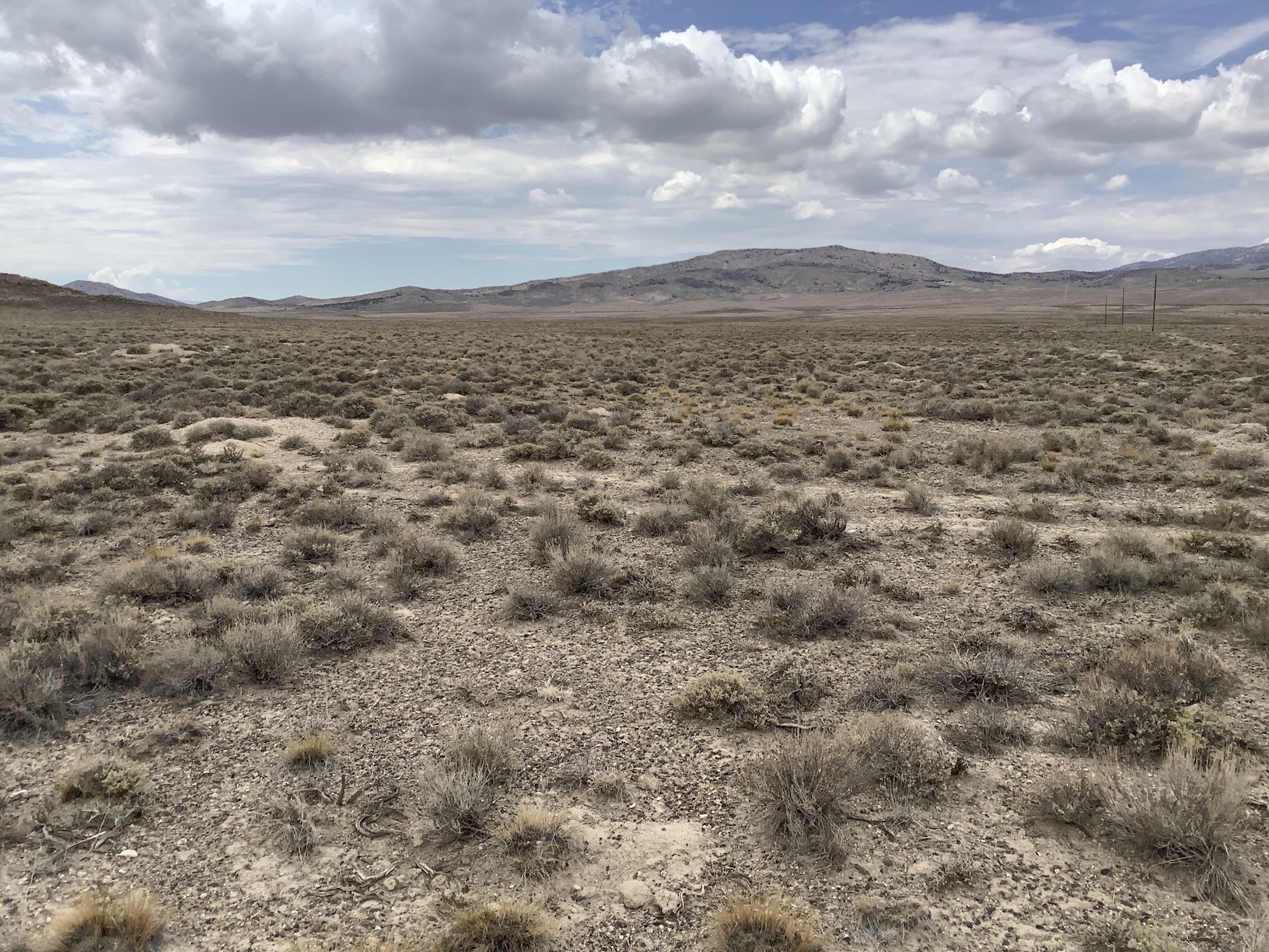 40 Acres In Pilot Valley with Power